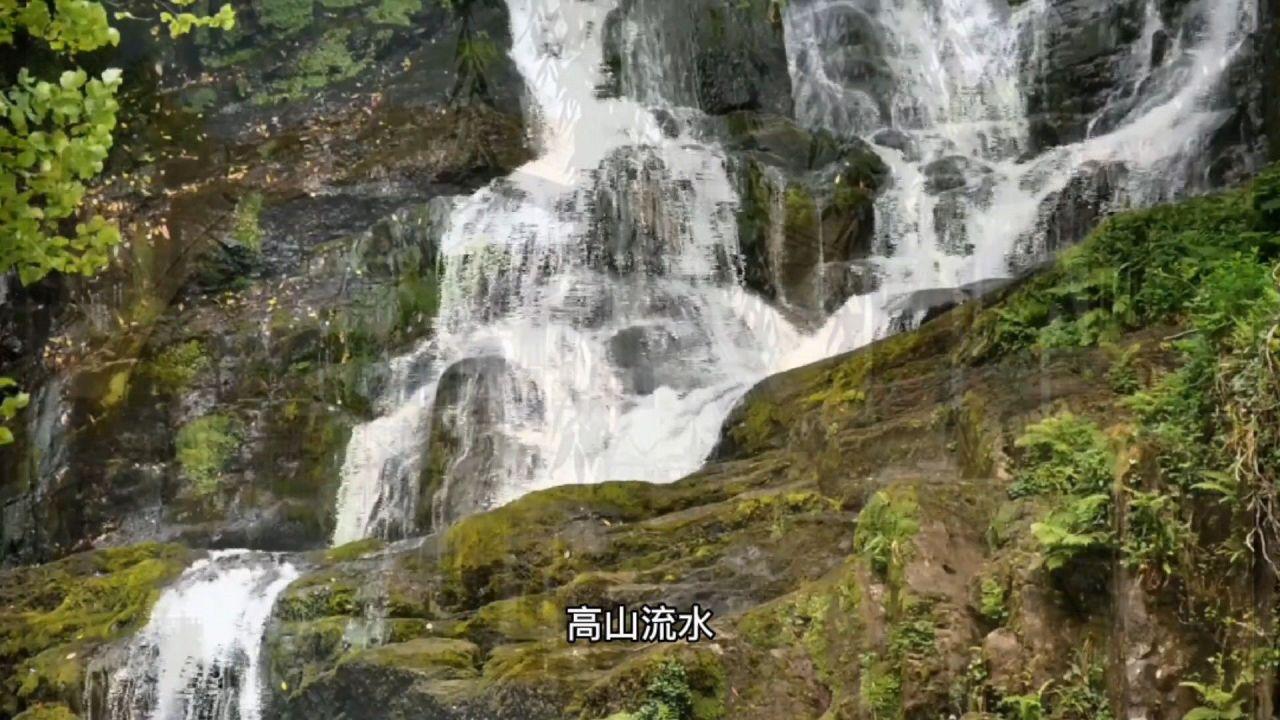 逃离蜥蜴森林